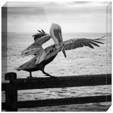 Pelican on a Pier Acrylic Block Prints