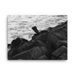 Tamarac Jetty and Surf B&W Canvas