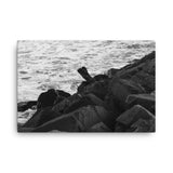 Tamarac Jetty and Surf B&W Canvas