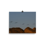 Flock of (Sunset) Seagulls Poster