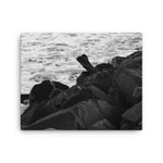 Tamarac Jetty and Surf B&W Canvas