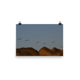 Flock of (Sunset) Seagulls Poster