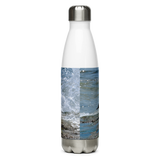 Splish Splash Seagull Stainless Steel Water Bottle