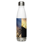 Bird on a Boat Stainless Steel Water Bottle