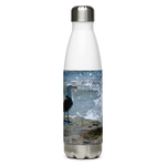 Splish Splash Seagull Stainless Steel Water Bottle