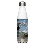 Splish Splash Seagull Stainless Steel Water Bottle