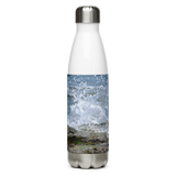 Splish Splash Seagull Stainless Steel Water Bottle