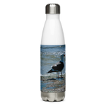 Splish Splash Seagull Stainless Steel Water Bottle